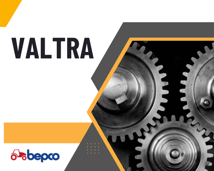 VALTRA DALYS