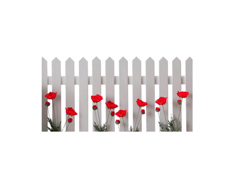 GARDEN FENCES, EDGING