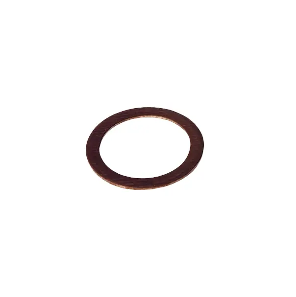 Copper ring (under the plunger)