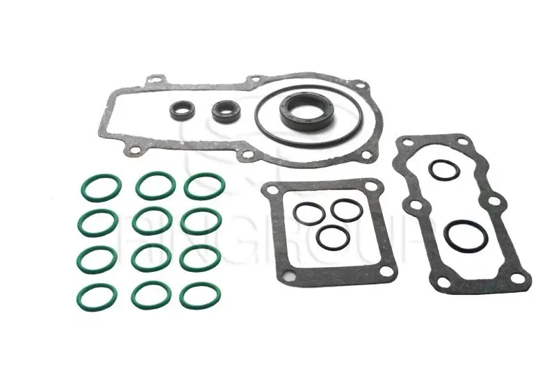 Repair kit for fuel injection pump Motorpal (21142)