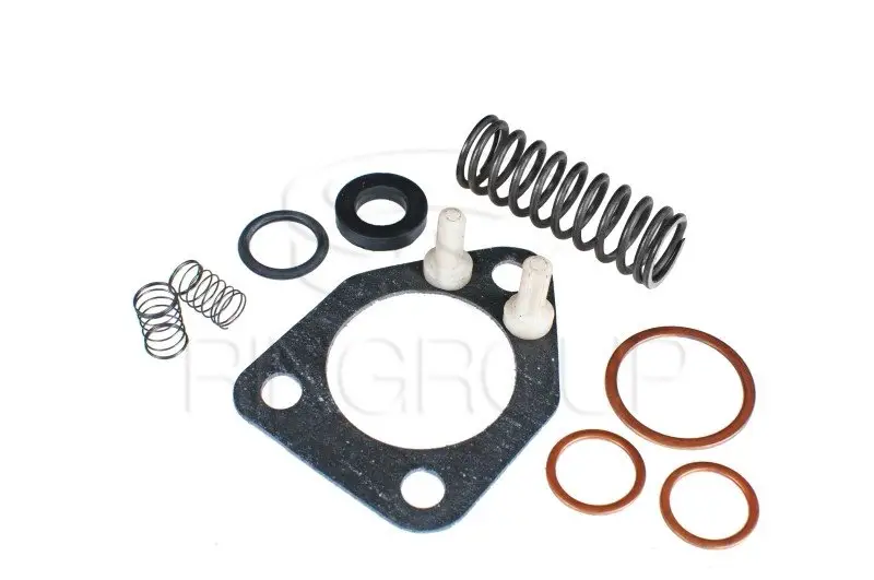 Repair kit for fuel pump 4UTNI-1106010-01 (2142)