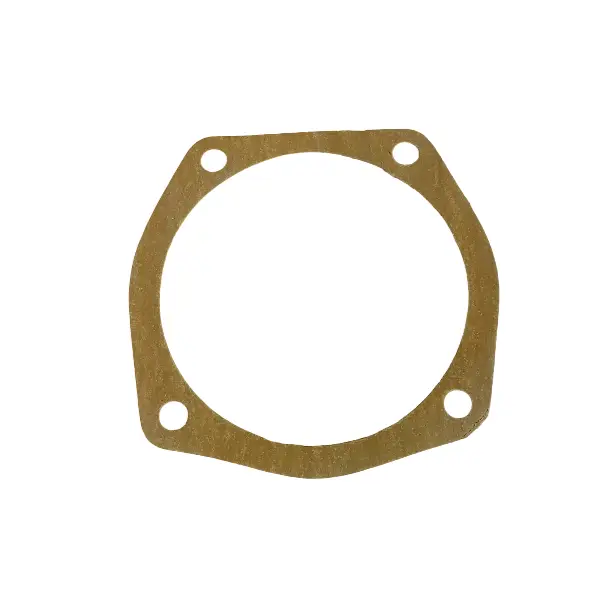 Gasket