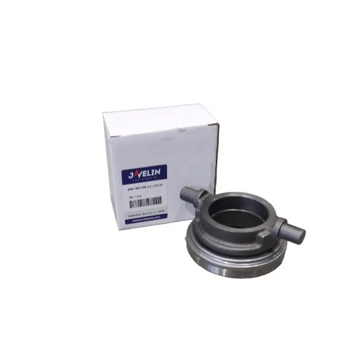 Bearing (new type)
