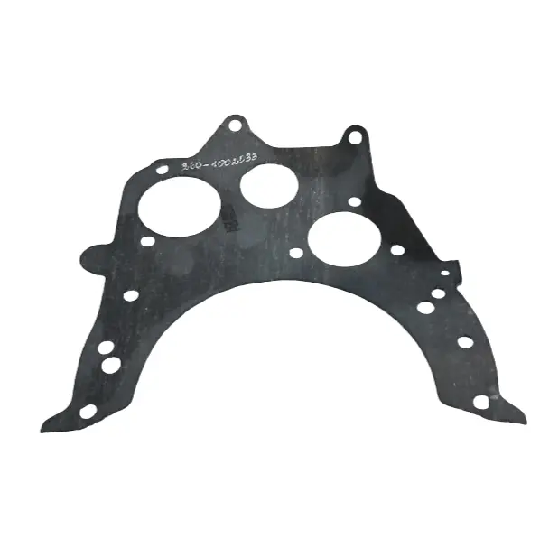 Timing plate gasket