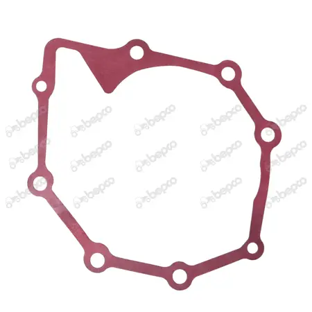 Water pump gasket