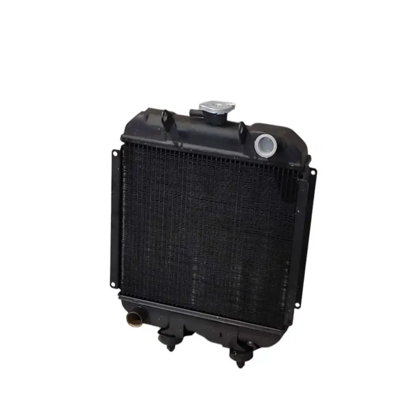 Radiator for engine Lombardini