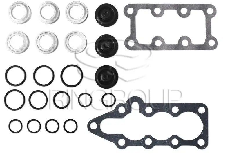 Repair set for distributor R80-3/1-222 UK (with plastic rings)