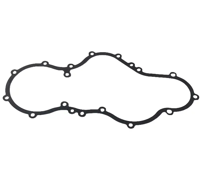 Timing gear cover gasket