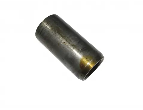 Bush