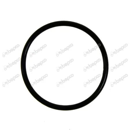 O-ring