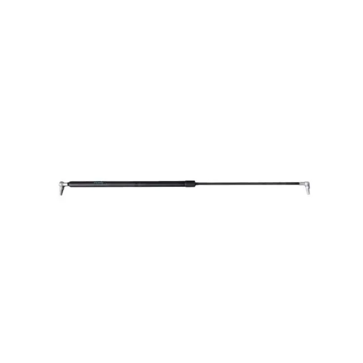 Door shock absorber (gas spring)