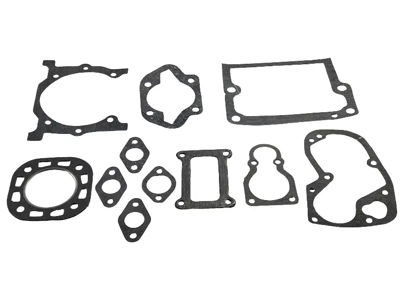 PD-10 starting motor gasket kit