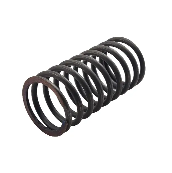 Valve spring (outer)