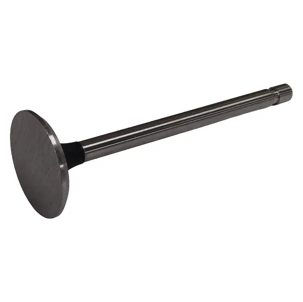 Intake valve