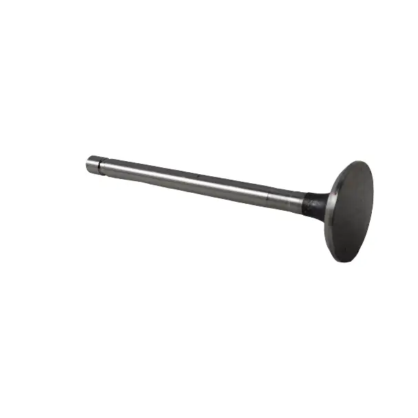 Outlet valve