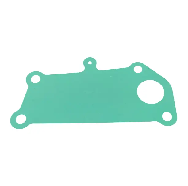 Water pump gasket