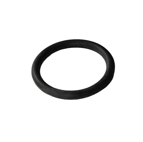 Pump flange ring
