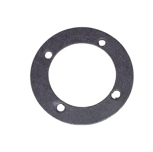 Steering knuckle gasket
