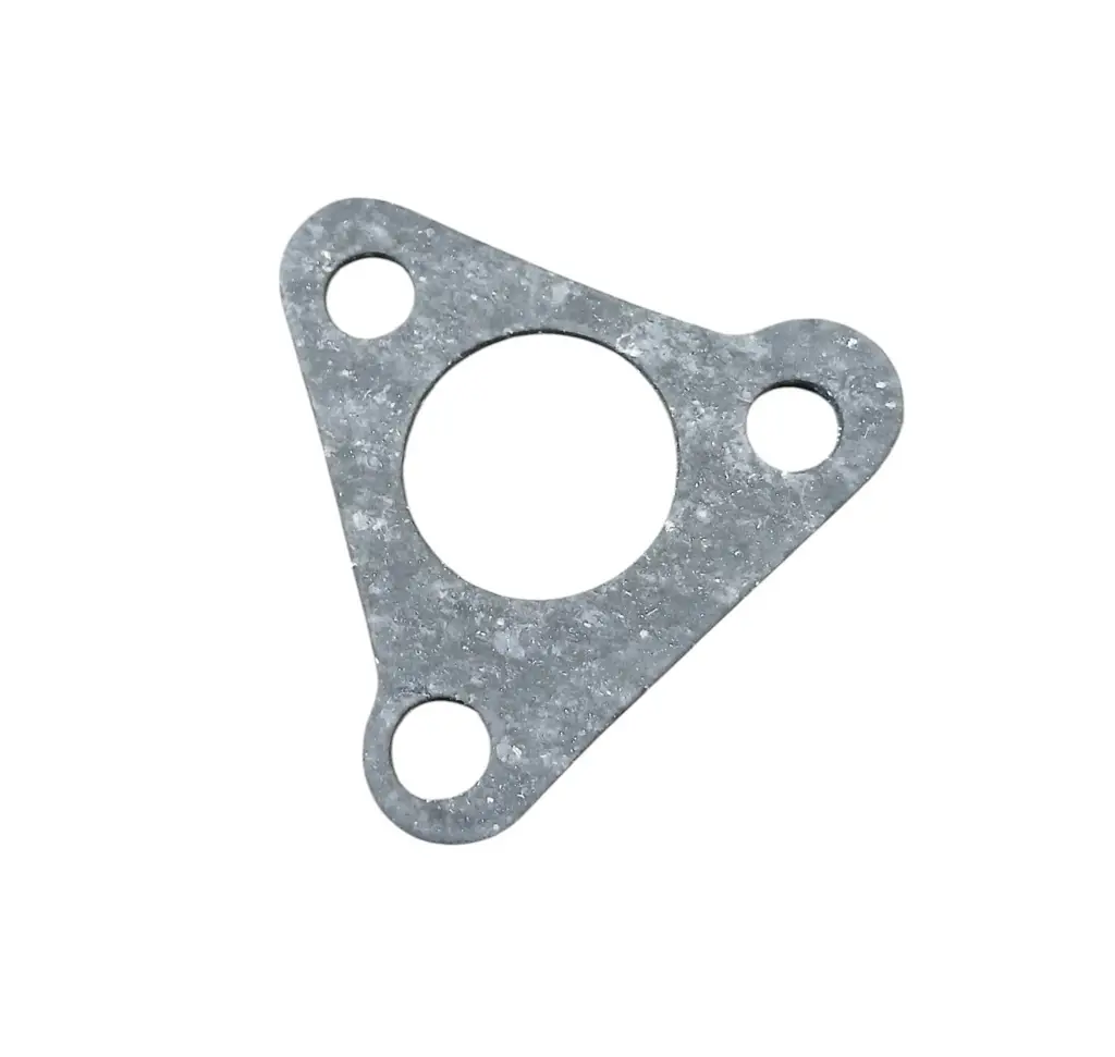 Antgalio tarpinė Gasket