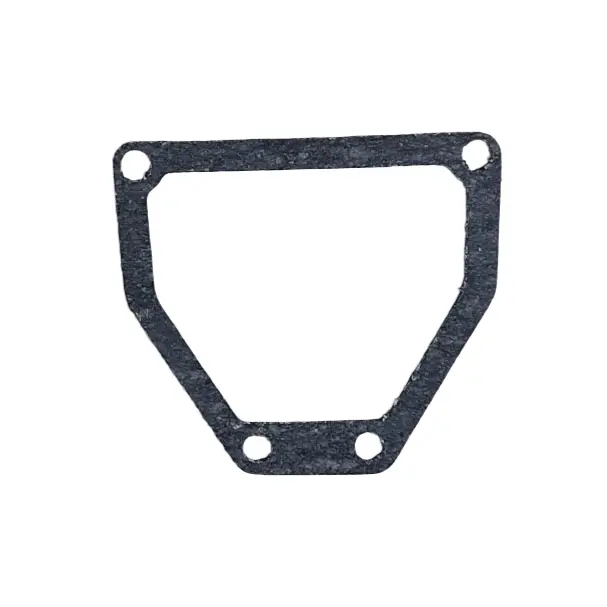 Tarpinė Gasket