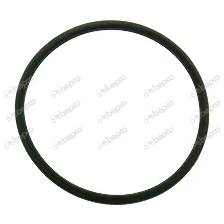 Thermostat gasket Thermostat gasket