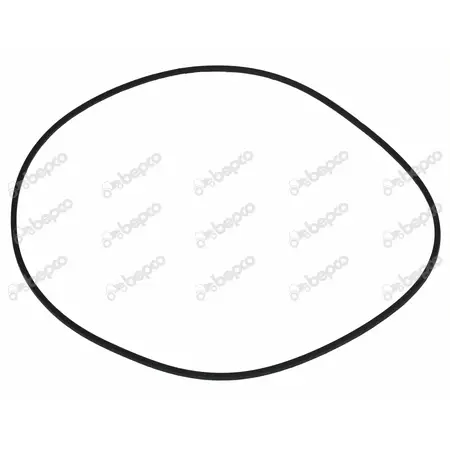 O-ring O-ring