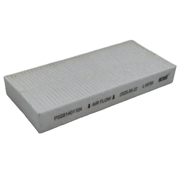 Filtras oro (kabinos) Cabin air filter