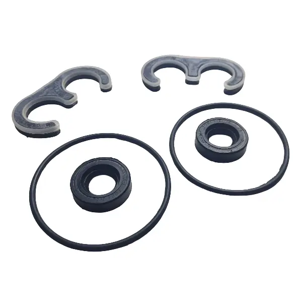 Repair kit for pump NSH-10-B Repair kit for pump NSH-10-B