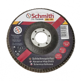Sanding disk