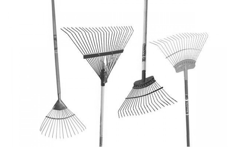 Rakes