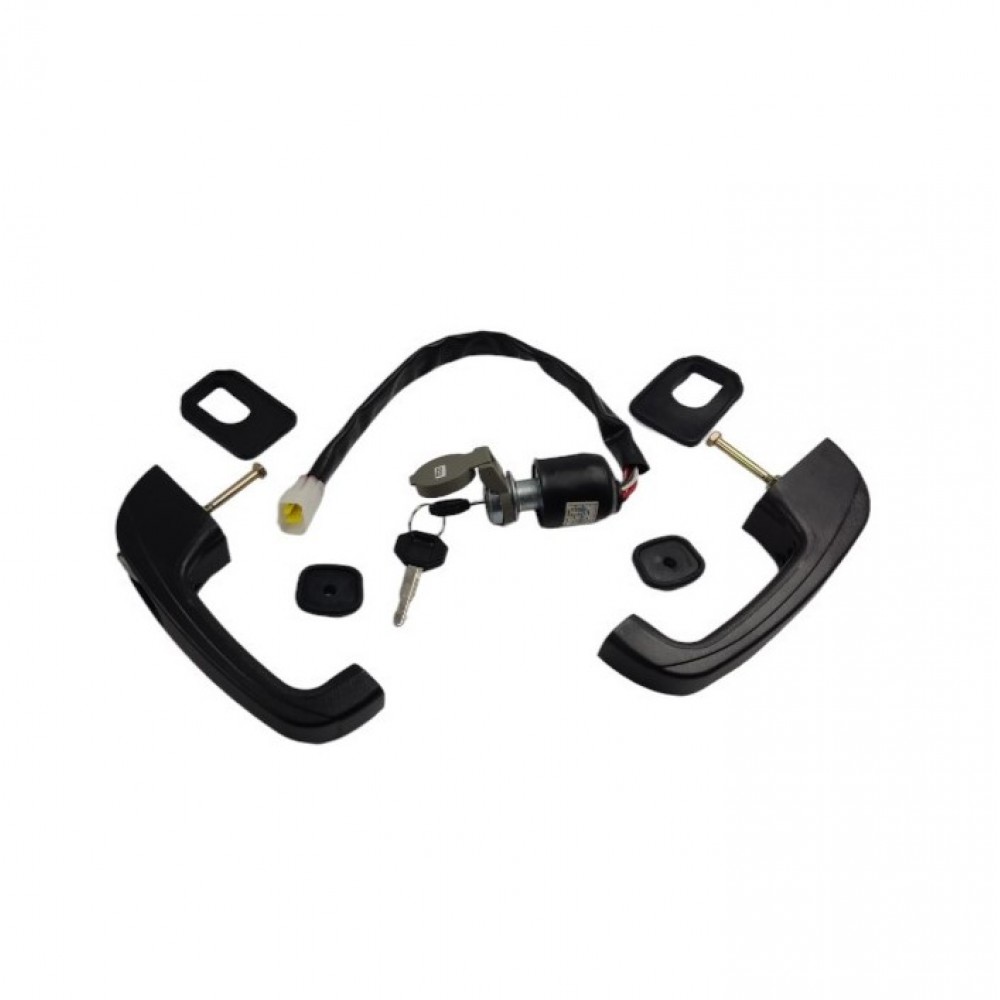Door handles with ignition switch