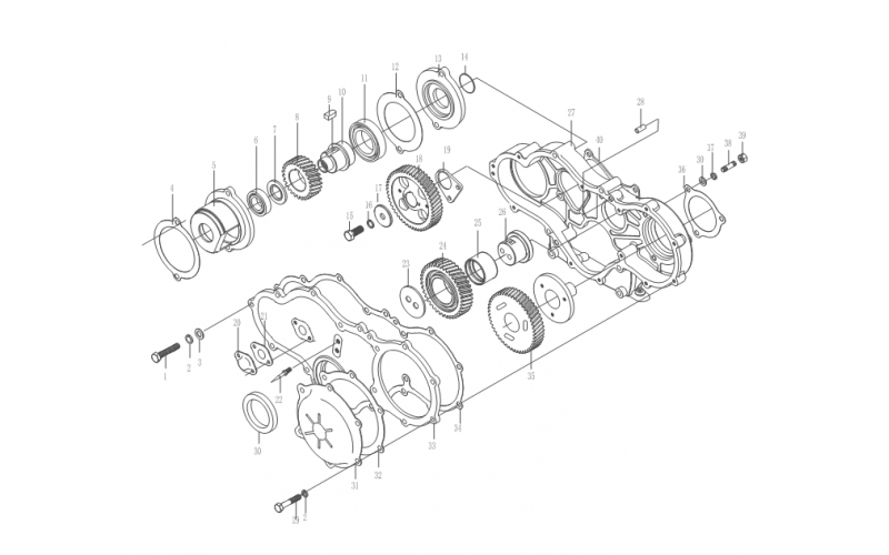 PASKIRSTYMO MECHANIZMAS
