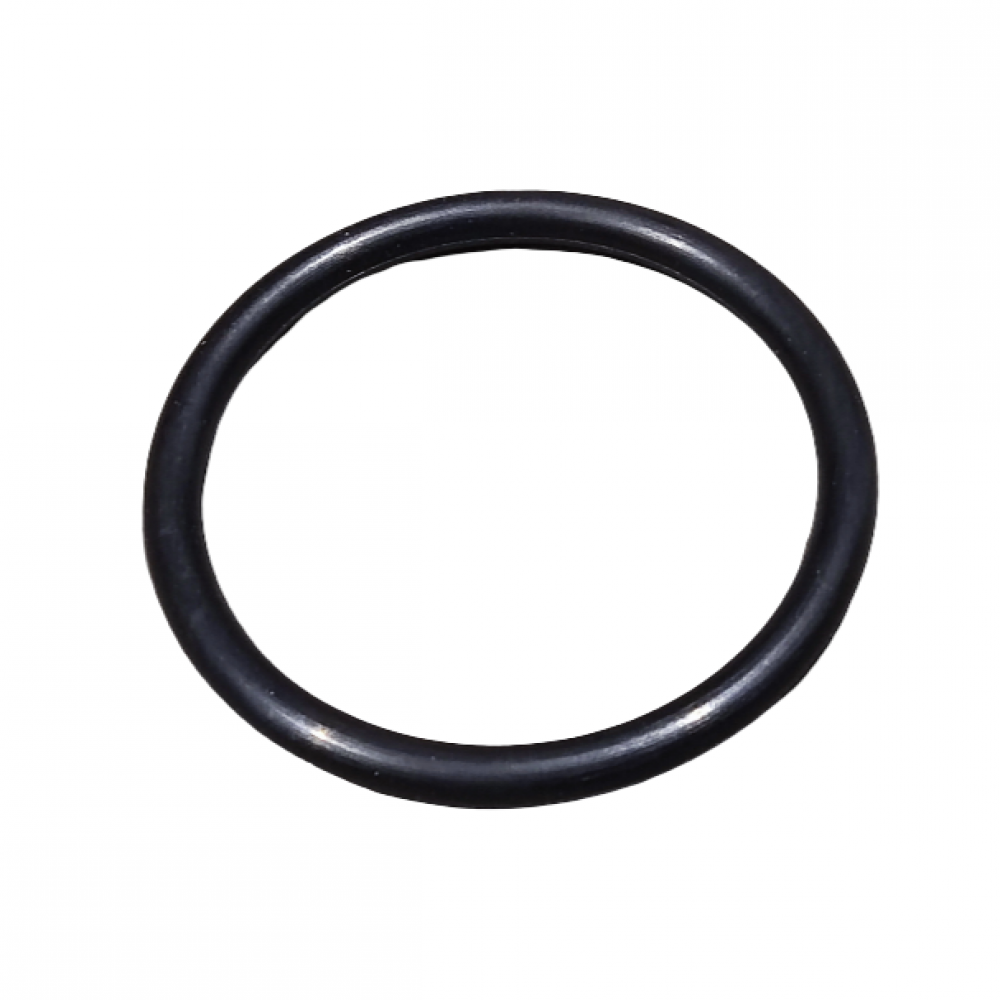 O-ring 55x5.3 mm