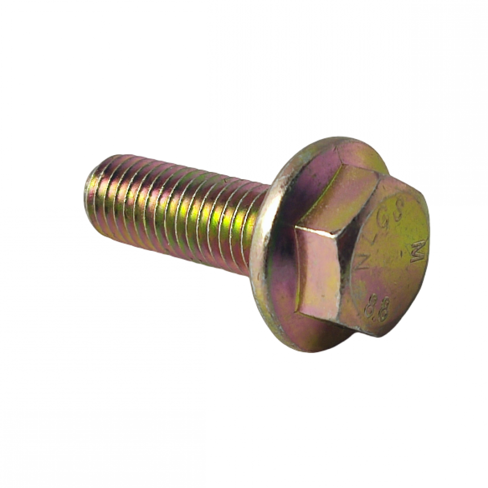 Bolt M10x30