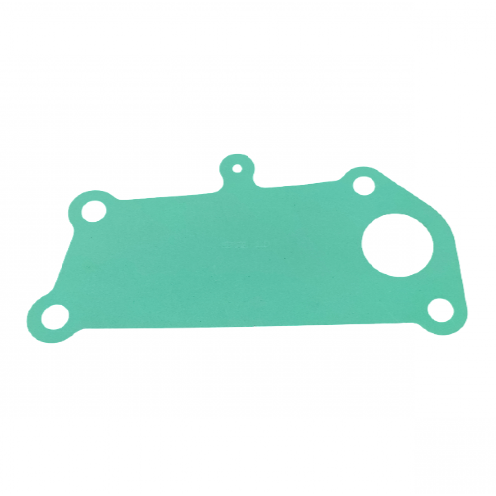 Water pump gasket