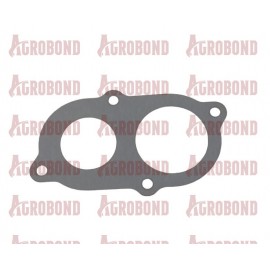 Thermostat gasket