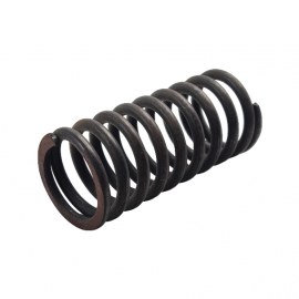 Valve spring (inner)