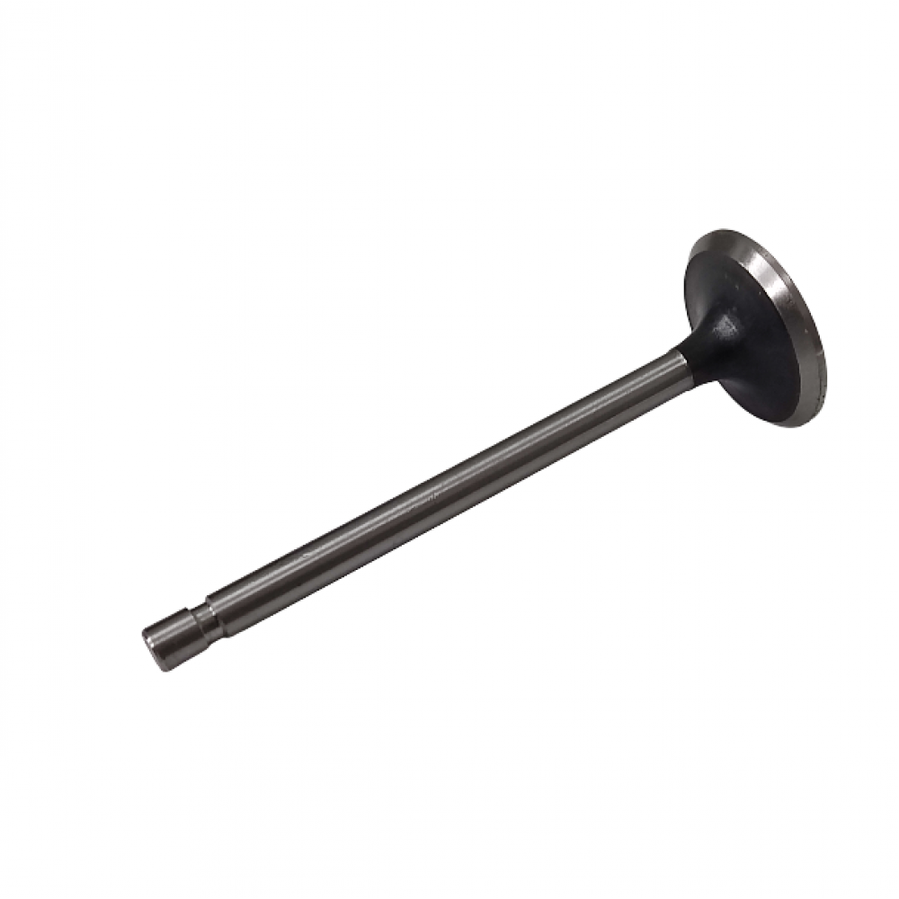 Intake valve Intake valve