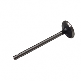 Intake valve 