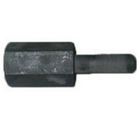 Crankshaft bolt