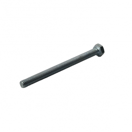 Bolt (8 class)