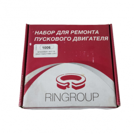 RMK paleidimo variklio PD-10 (pilnas) (stūm.+guol.)