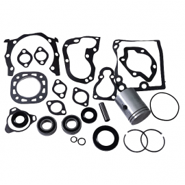 RMK paleidimo variklio PD-10 (pilnas) (stūm.+guol.)