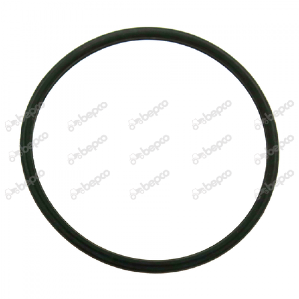 Thermostat gasket