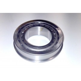 Guolis ritininis kūginis