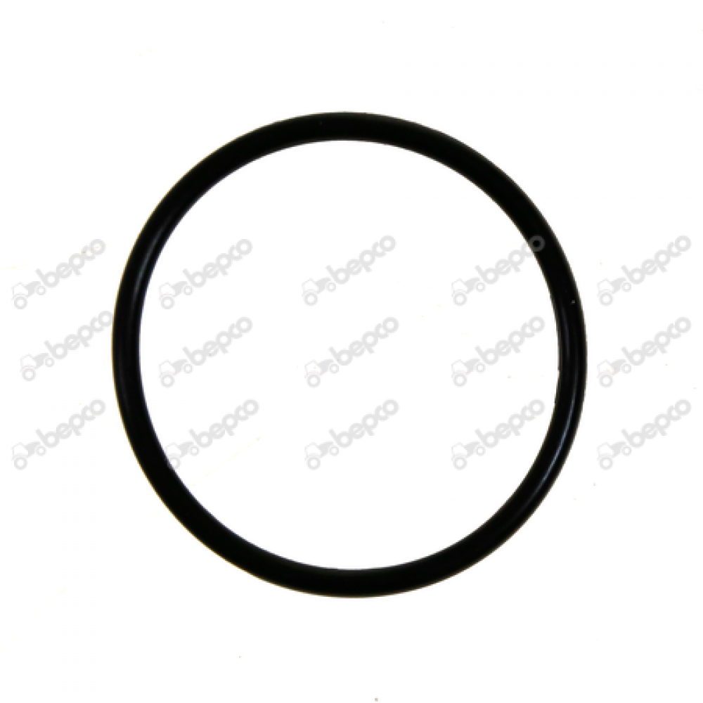 O-ring