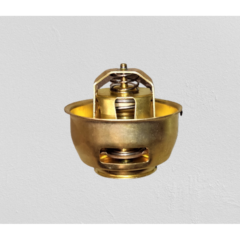 Термостат (c.o.)