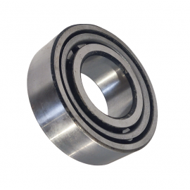 Guolis ritininis kūginis