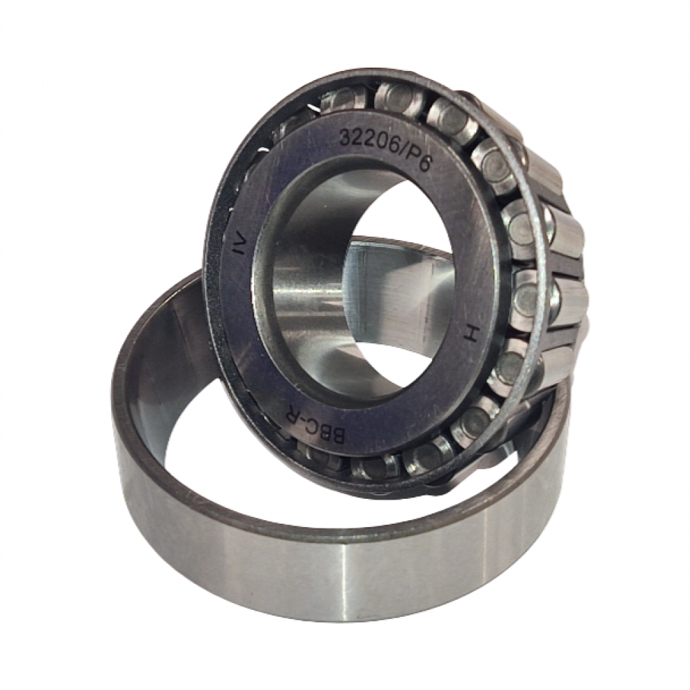 Guolis ritininis kūginis