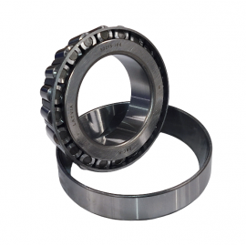 Guolis ritininis kūginis